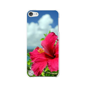  5 iPod touch AC|bh P[X/Jo[ Apple iPod touch5pynCrXJXƊC NAP[Xfށz