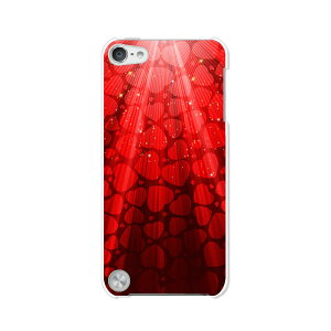  5 iPod touch Apple AC|bh P[X/Jo[y~蒍n[g nn[hP[Xz