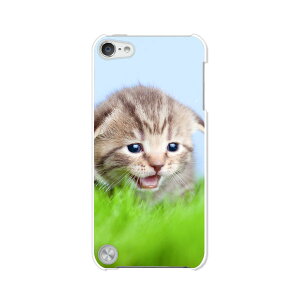  5 iPod touch AC|bh P[X/Jo[ Apple iPod touch5pyj NAP[Xfށz