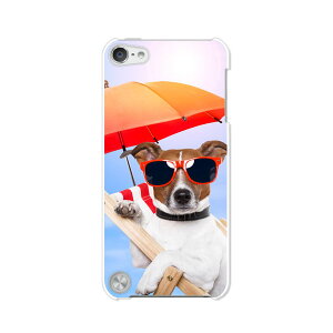  5 iPod touch AC|bh P[X/Jo[ Apple iPod touch5pyT}[ NAP[Xfށz