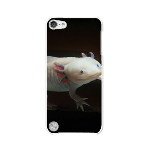  5 iPod touch Apple AC|bh P[X/Jo[yE[p[[p[ nn[hP[Xz