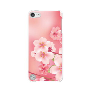  5 iPod touch Apple AC|bh P[X/Jo[yt nn[hP[Xz