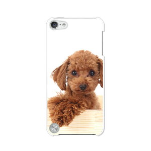  5 iPod touch AC|bh P[X/Jo[ Apple iPod touch5pyv[h NAP[Xfށz