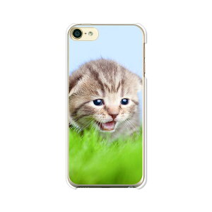 iPod touch 7/6  P[X/Jo[ yj NAP[XfށzAC|bh^b` ipodtouch6 WPbg iPodtouch7
