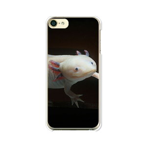 iPod touch 7/6  P[X/Jo[ yE[p[[p[ NAP[XfށzAC|bh^b` ipodtouch6 WPbg iPodtouch7
