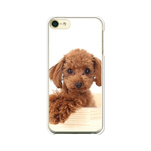 iPod touch 7/6  P[X/Jo[ yv[h NAP[XfށzAC|bh^b` ipodtouch6 WPbg iPodtouch7