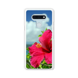 LG style3 L-41A �P�[�X/�J�o�[ �y�n�C�r�X�J�X�ƊC �N���A�P�[�X�f�ށzl41a �X�}�z�P�[�X LG�X�^�C��3L41A �h�R�� lgstyle3l41a�P�[�X �g�уJ�o�[ �g�уP�[�X