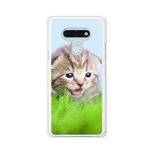 LG style3 L-41A �P�[�X/�J�o�[ �y�������j���� �N���A�P�[�X�f�ށzl41a �X�}�z�P�[�X LG�X�^�C��3L41A �h�R�� lgstyle3l41a�P�[�X �g�уJ�o�[ �g�уP�[�X