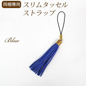 ypzK̏iƈꏏɂwBpim͕s yX^bZ XgbvFu[z 蒠^X}zP[XKP[Agѓdb̃ANZg  