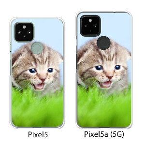 Google Pixel 5 / Google Pixel5a(5G) P[X/Jo[ yj NAP[XfށzO[O sNZ5 P[X X}zP[X au \tgoN O[Opixcel5 googlepixel5a5g Jo[ gуJo[ g
