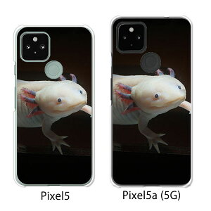 Google Pixel 5 / Google Pixel5a(5G) P[X/Jo[ yE[p[[p[ NAP[XfށzO[O sNZ5 P[X X}zP[X au \tgoN O[Opixcel5 googlepixel5a5g Jo[ gуJo[ g