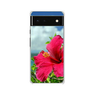 Google Pixel6 P[X/Jo[ ynCrXJXƊC NAP[XfށzO[OsNZ6P[X X}zP[X gуP[X gуJo[ sNZ6Jo[ pixel6 pixcel6 pxl6