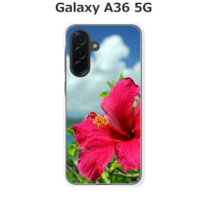 Galaxy A36 5G SC-54F / SM-A366Q ���� �P�[�X/�J�o�[ �y�n�C�r�X�J�X�ƊC �N���A�P�[�X�f�ށz�M�����N�V�[A36�X�}�z�P�[�X �h�R�� �M�����N�V�[A365G �g�уP�[�X GalaxyA365g �g�уJ�o�[