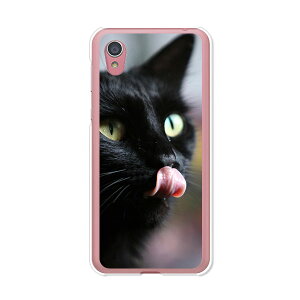 AQUOS sense2 SH-01L / AQUOS sense2 SHV43 / AQUOS sense2 SH-M08 / AQUOS sense2 񂽂  P[X/Jo[ yCatI NAP[Xfށzaquossense2 Jo[ ANIXZX2 docomo au uqmobile