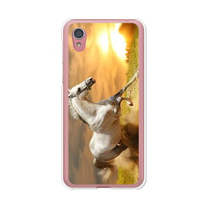 AQUOS sense2 SH-01L / AQUOS sense2 SHV43 / AQUOS sense2 SH-M08 / AQUOS sense2 񂽂  P[X/Jo[ y삯n NAP[Xfށzaquossense2 Jo[ ANIXZX2 docomo au uqmobile