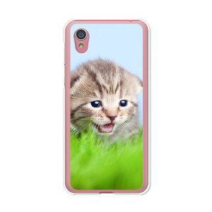 AQUOS sense2 SH-01L / AQUOS sense2 SHV43 / AQUOS sense2 SH-M08 / AQUOS sense2 񂽂  P[X/Jo[ yj NAP[Xfށzaquossense2 Jo[ ANIXZX2 docomo au uqmobile