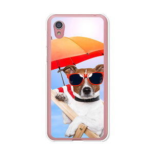 AQUOS sense2 SH-01L / AQUOS sense2 SHV43 / AQUOS sense2 SH-M08 / AQUOS sense2 񂽂  P[X/Jo[ yT}[ NAP[Xfށzaquossense2 Jo[ ANIXZX2 docomo au uqmobile