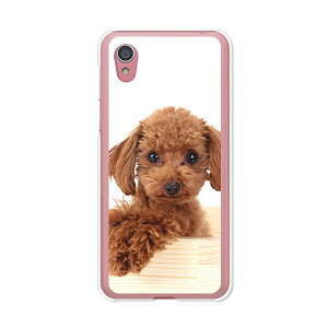 AQUOS sense2 SH-01L / AQUOS sense2 SHV43 / AQUOS sense2 SH-M08 / AQUOS sense2 񂽂  P[X/Jo[ yv[h NAP[Xfށzaquossense2 Jo[ ANIXZX2 docomo au uqmobile