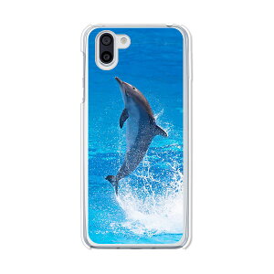 AQUOS R2 SH-03K / AQUOS R2 SHV42 / AQUOS R2 706SH ���� �P�[�X/�J�o�[ �y�h���t�B�� �N���A�P�[�X�f�ށzAQUOSR2 SH-03K SHV42 �n�[�h�P�[�X/�J�o�[ �A�N�I�XR2 sh03k �V���[�v