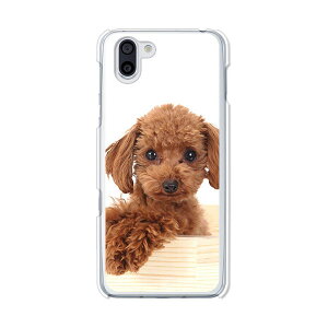 AQUOS R3 SH-04L / SHV44 / 808SH ���ʃJ�o�[/�P�[�X �V���R���P�[�X�����R�V������S�~�����ɂ���TPU�J�o�[ �y�v�[�h�� TPU�\�t�g�P�[�X�zaquosr3sh04l �J�o�[ �ی� �A�N�I�XR3 docomo au softbank SHARP