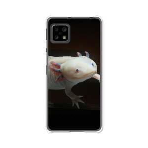 AQUOS sense5G SH-53A / SHG03 / A004SH / SH-M17 ʃJo[/P[X VRP[XRVS~ɂTPUJo[ yE[p[[p[ TPU\tgP[XzANIXZX5G hR au \tgo
