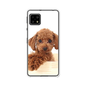 AQUOS sense5G SH-53A / SHG03 / A004SH / SH-M17 ʃJo[/P[X VRP[XRVS~ɂTPUJo[ yv[h TPU\tgP[XzANIXZX5G hR au \tgoN 