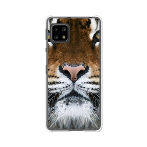 AQUOS sense4 SH-41A/SH-M15/sense4basic/sense4liteSH-RM15���ʃJ�o�[/�P�[�X �V���R���P�[�X�����R�V������S�~�����ɂ���TPU�J�o�[ �yTIGER TPU�\�t�g�P�[�X�z�Z���X4�x�[�V�b�N �Z���X4���C�g �X�}�z�P