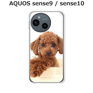 AQUOS sense9 SH-53E / SHG14 / A405SH / SH-M29  P[X/Jo[ yv[hzIׂ n[hP[X  VRP[XقǗǂdTPU \tgP[X ANIXZX9 SIMt[ X}zP[X g