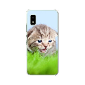 AQUOS wish / wish2 (SH-51C/SHG06/A103SH/A104SH/A204SH/SH-M20)���� �P�[�X/�J�o�[ �y�������j���� �N���A�P�[�X�f�ށz�X�}�z�P�[�X �g�уP�[�X