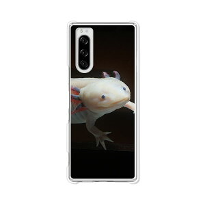 Xperia 5 SO-01M/SOV41/901SO/J9260���� �P�[�X/�J�o�[ �y�E�[�p�[���[�p�[ �N���A�P�[�X�f�ށzXperia5�X�}�z�P�[�X �G�N�X�y���A5�J�o�[ �G�N�X�y�f�B�A �h�R�� au �\�t�g�o���N �V���t���[ �g�уJ�o�[