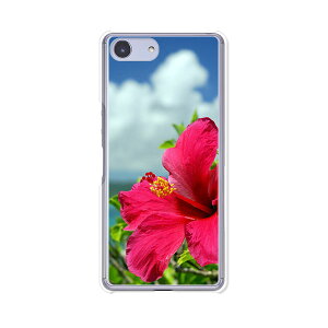 Xperia Ace SO-02L/ Xperia Ace �P�[�X/�J�o�[ �y�n�C�r�X�J�X�ƊC �N���A�P�[�X�f�ށzxperiaace�J�o�[ �G�N�X�y���A�G�[�X�J�o�[so02l docomo �h�R�� �\�j�[ IIJmio goo Simseller mineo �}�C�l�I nuro���o�C��