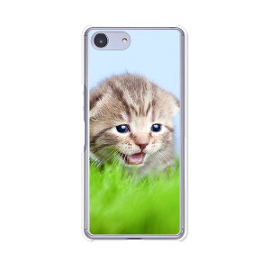 Xperia Ace SO-02L/ Xperia Ace �P�[�X/�J�o�[ �y�������j���� �N���A�P�[�X�f�ށzxperiaace�J�o�[ �G�N�X�y���A�G�[�X�J�o�[so02l docomo �h�R�� �\�j�[ IIJmio goo Simseller mineo �}�C�l�I nuro���o�C��