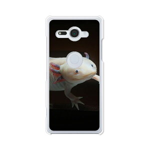 Xperia XZ2 Compact SO-05K �P�[�X/�J�o�[ �y�E�[�p�[���[�p�[ �N���A�P�[�X�f�ށzxperia xz2 compact �P�[�X so05k �J�o�[ �G�N�X�y���A�P�[�X docomo �h�R�� �G�N�X�y�f�B�A