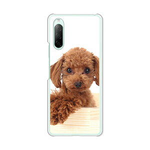 Xperia 10 II SO-41A/SOV43/A001SO/XQ-AU52  P[X/Jo[ yv[h NAP[XfށzXperia10}[Nc[X}zP[X GNXyA10 2 GNXyfBAso41a gуJo[ gуP[X