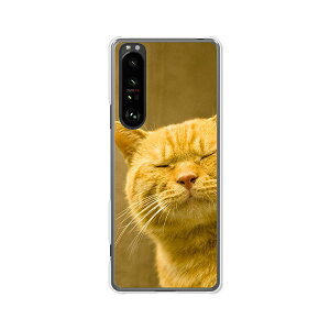 Xperia 1 III SO-51B / SOG03 /Xperia1 III Jo[/P[X VRP[XRVS~ɂTPUJo[ yy͔Lł閼O͂܂j TPU\tgP[XzGNXyA}[NX