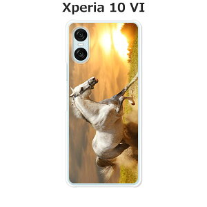 Xperia 10 VI SO-52E / SOG14 / A402SO / XQ-ES44 ���� �P�[�X/�J�o�[ �y�삯��n�z�I�ׂ� �n�[�h�P�[�X �� �V���R���P�[�X���قǗǂ��d����TPU �\�t�g�P�[�X �G�N�X�y���A10VI �X�}�z�P�[�X �g�уJ�o�[ 