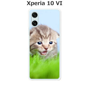Xperia 10 VI SO-52E / SOG14 / A402SO / XQ-ES44  P[X/Jo[ yjzIׂ n[hP[X  VRP[XقǗǂdTPU \tgP[X GNXyA10VI X}zP[X gуJ