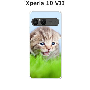 Xperia 10 VII SO-52F/SOG16/A502SO/XQ-FE44  P[X/Jo[ yjzIׂ n[hP[X  VRP[XقǗǂdTPU \tgP[X GNXyA10VII hR au \tgoN 