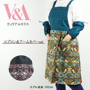 EBAX V&A Gv A[Jo[ Zbg pI  D_ ԕ peLX^C 킢 fB[X t[TCY ubN O[ Mtg v[g j K