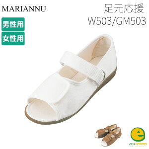  GM503 amp }Ak nrV[Y    R V[Y   a@ { ₷ ɂ tI[v i[X bNX NN y 