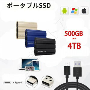 �|�[�^�u��SSD �O�t��SSD �O�t���n�[�h�f�B�X�N 500GB 1TB 2TB 4TB �����^�|�[�^�u�� �n�[�h�f�B�X�N ���^ �R���p�N�g �É�