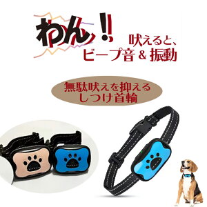   ʖi h~ g ih~ObY ^ {tg[jO ObY ybg ZT[ m U S