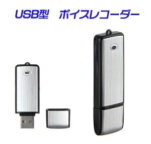 yzUSB^{CXR[_[@8GB/USB/e/Ԙ^/gѕ֗/ȒP/16GBփAbv\/ICR[_[/{CXR[_[ ^/{CXR[_[ /^ vr01