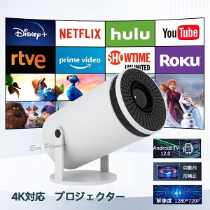 vWFN^[ ^ 4KΉ Android TV 12.0 `␳ 5G 2.4G WiFi6 Bluetooth5.2 Ze HDMI USB Audio