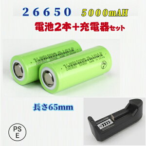 リチウム電池 単三の通販 価格比較 価格 Com
