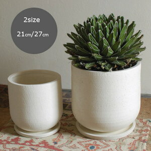 Aؔ  5 21cm×h21cm ꌊ 󂯎Mt Jo[ v^[ K[fjO i` Vv  Ogp A stem 