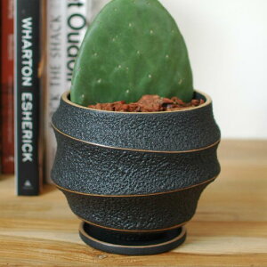 Aؔ  픫 Lava Pot C7332 3 19×h16 ꌊ 󂯎Mt  Jo[ i` _ Vv  O ʑ A\ stem 