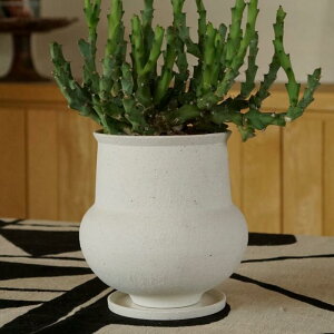 Aؔ  픫 3 18×H18 ꌊ 󂯎Mt VvȔ UƂ _ i` ϗtA Ap |bg CeA  O C5320 stem