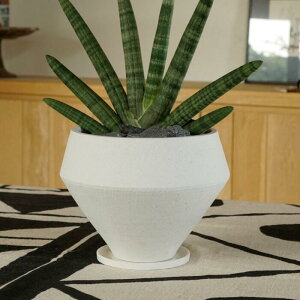 Aؔ  픫 4 22×H17 ꌊ 󂯎Mt VvȔ UƂ _ i` ϗtA Ap |bg CeA  O C5321 stem