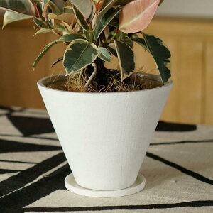 Aؔ  픫 4 21×H16 ꌊ 󂯎Mt VvȔ UƂ _ i` ϗtA Ap |bg CeA  O C5322 stem